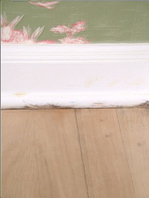 Scuffed shoe molding detail